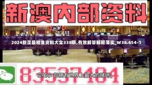 2024新澳最精准资料大全338期,有效解答解释落实_W36.654-1