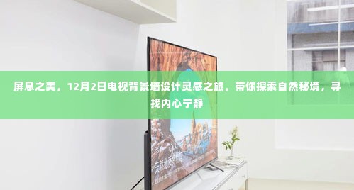 屏息之美,探寻自然秘境的电视背景墙设计灵感之旅(12月2日)