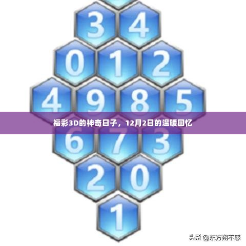 福彩3D神奇日子,12月2日的幸运与温暖回忆