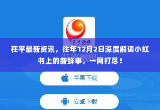 茌平最新资讯,深度解读往年12月小红书新鲜事热点一网打尽!