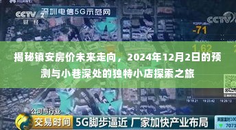 镇安房价未来走向预测与小巷深处的独特小店探索之旅(2024年12月2日)