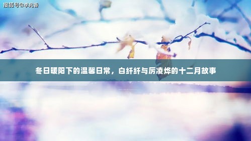 冬日暖阳下的温情日常,白纤纤与厉凌烨的十二月恋曲