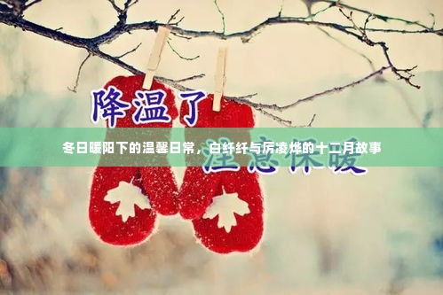 冬日暖阳下的温情日常,白纤纤与厉凌烨的十二月恋曲