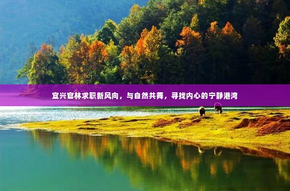 宜兴官林求职新趋势,与自然共舞,寻觅心灵港湾