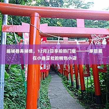揭秘巷弄秘境,特色小店探秘与享拍热门版介绍——12月2日独家揭秘