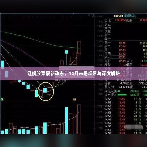 猛狮股票最新动态,深度解析12月市场观察与趋势预测