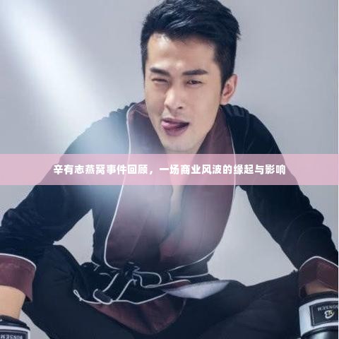 辛有志燕窝事件回顾,商业风波的缘起及其影响