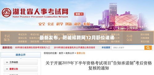 肥城招聘网12月职位速递新鲜发布