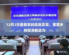 最新农村投资项目启动,重塑乡村经济活力
