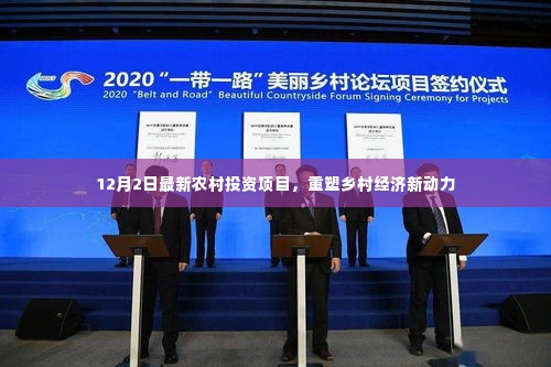最新农村投资项目启动,重塑乡村经济活力