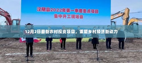 最新农村投资项目启动,重塑乡村经济活力