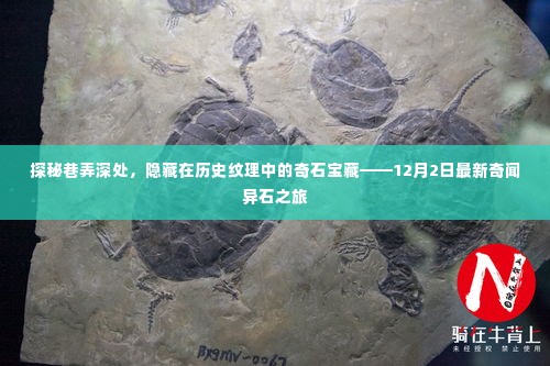 探秘巷弄深处的奇闻异石宝藏,历史纹理中的神秘宝藏之旅(12月最新)