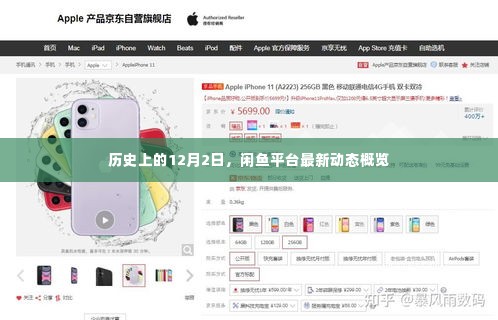 闲鱼平台最新动态概览,历史12月2日回顾
