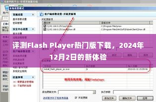 评测Flash Player热门版下载,最新体验报告(2024年12月2日)