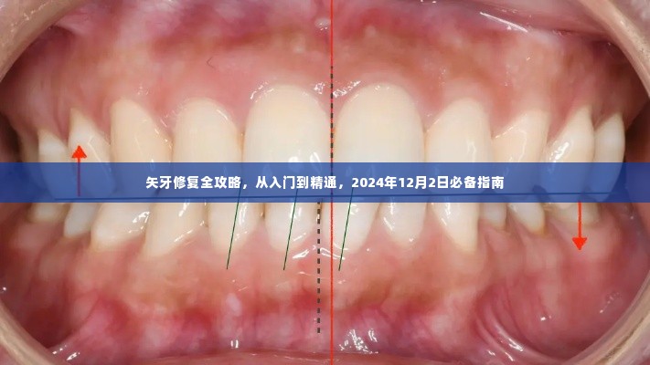 矢牙修复全攻略,从入门到精通——2024年必备指南