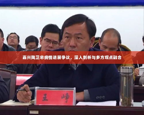 嘉兴陶卫忠病情进展争议,深度剖析与多方观点交汇