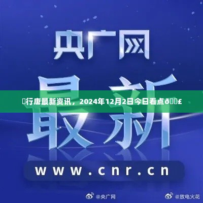 行唐最新资讯速递,2024年12月2日看点一览