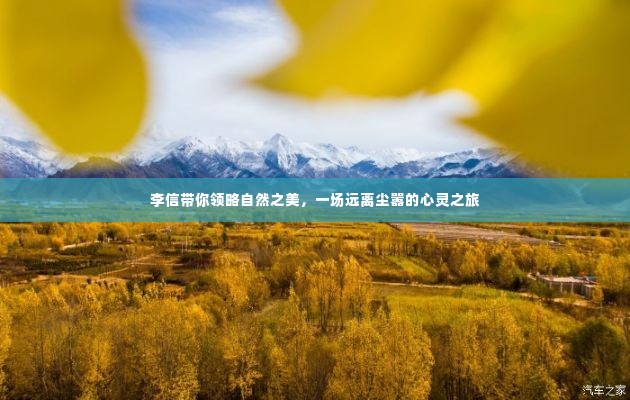 李信引领的自然之美探索，心灵远离尘嚣之旅