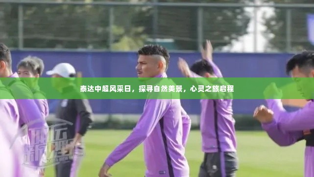 泰达中超风采日,心灵之旅启程,探寻自然美景的魅力