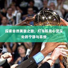 自然探索之旅,照亮心灵深处的宁静与喜悦之光