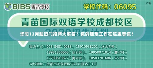 华阳12月超热门招聘揭秘,理想工作等你来挑战!
