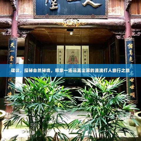 探秘自然秘境，远离尘嚣的滴滴打人旅行探险之旅