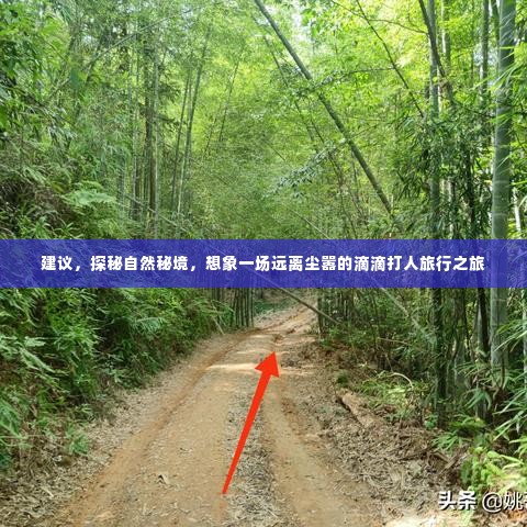 探秘自然秘境,远离尘嚣的滴滴打人旅行探险之旅