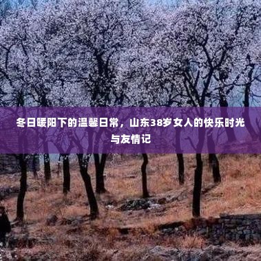 冬日暖阳下的山东友情记,温馨日常与快乐时光