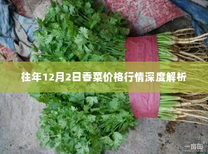往年12月2日香菜价格行情全面解析