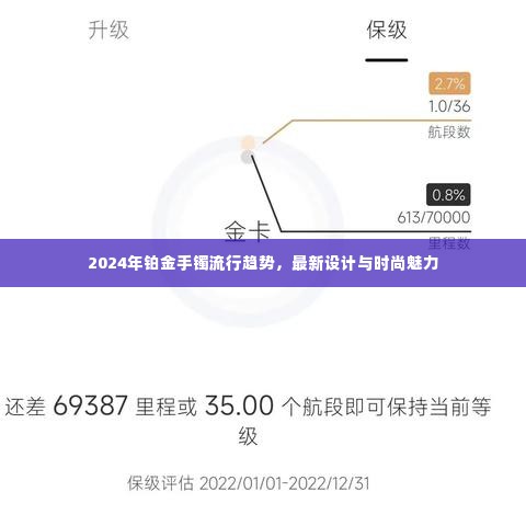 2024年铂金手镯流行趋势,最新设计与时尚魅力闪耀登场