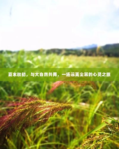 夏末秋初的心灵之旅,与自然共舞,远离尘嚣