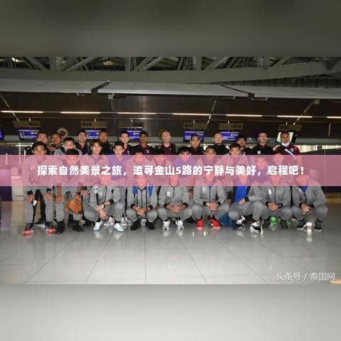 金山5路自然探索之旅,追寻宁静与美好的极致体验