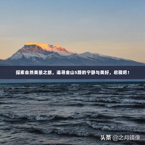 金山5路自然探索之旅,追寻宁静与美好的极致体验