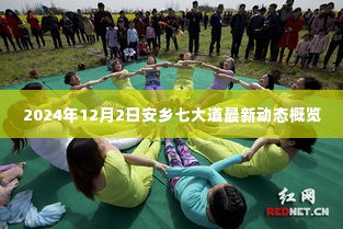 安乡七大道最新动态概览,2024年12月2日更新