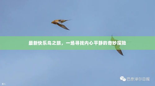最新快乐鸟之旅,探寻内心平静的奇妙旅程