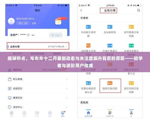 毛东东十二月最新动态揭秘,关注度飙升背后的原因及初学者与进阶用户指南