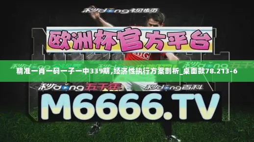 精准一肖一码一子一中339期,经济性执行方案剖析_桌面款78.213-6
