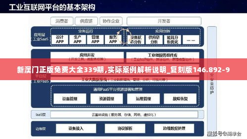 新澳门正版免费大全339期,实际案例解析说明_复刻版146.892-9