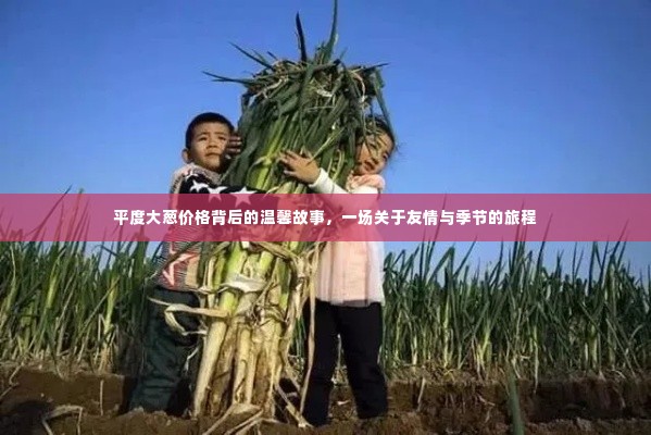 平度大葱背后的温情故事,友情与季节的交织旅程