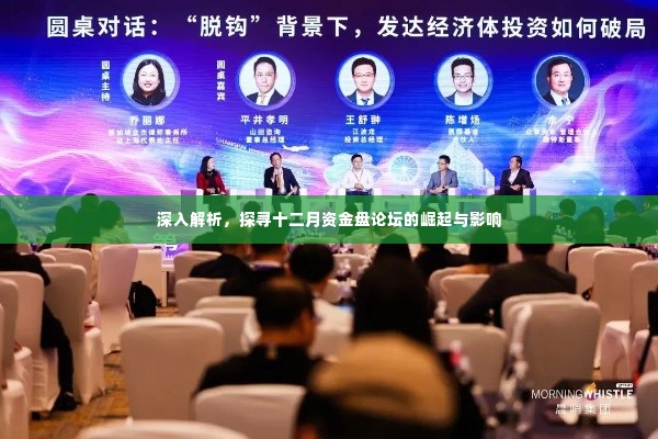 十二月资金盘论坛的崛起及其影响力探究