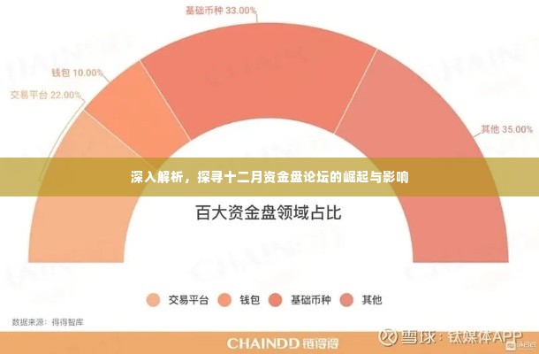 十二月资金盘论坛的崛起及其影响力探究