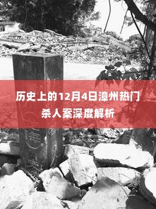 张袂成阴 第5页