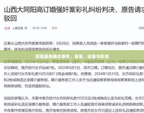 郧西最新确诊事件,背景、进展与影响全解析