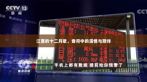 江蕙的十二月歌,音符中的温情与陪伴之歌