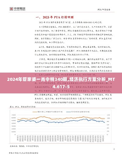 2024年管家婆一肖中特340期,经济执行方案分析_MT4.617-5