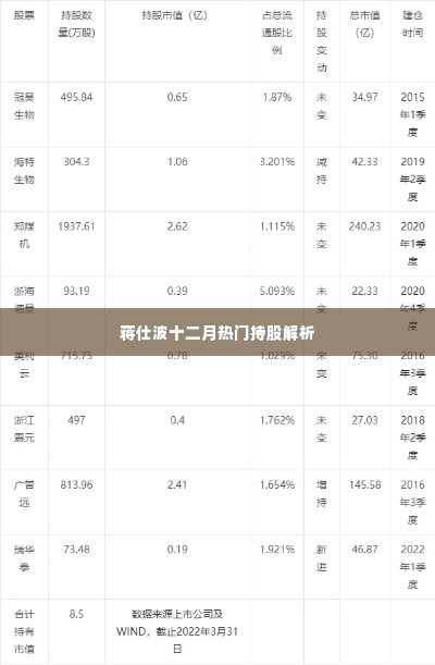 蒋仕波十二月热门持股深度解析