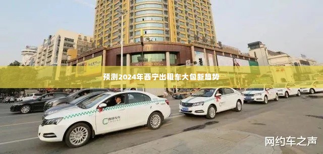 2024年西宁出租车大包趋势展望,行业变革与未来发展