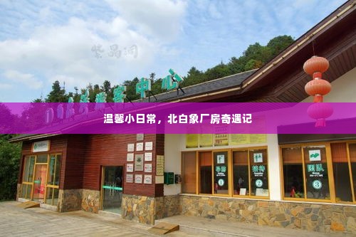 北白象厂房的温馨奇遇