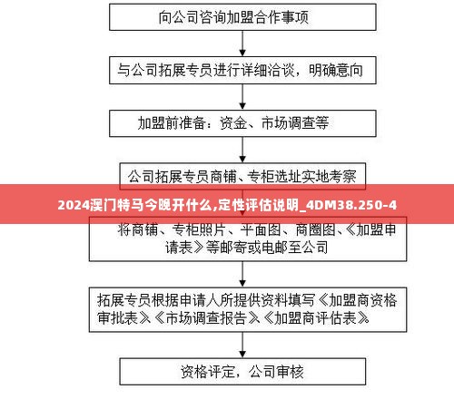 2024澳门特马今晚开什么,定性评估说明_4DM38.250-4