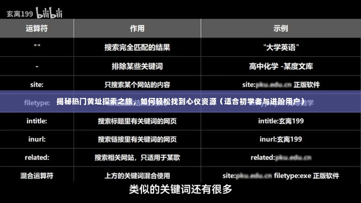 揭秘热门黄址探索之旅,初学者与进阶用户的心仪资源指南